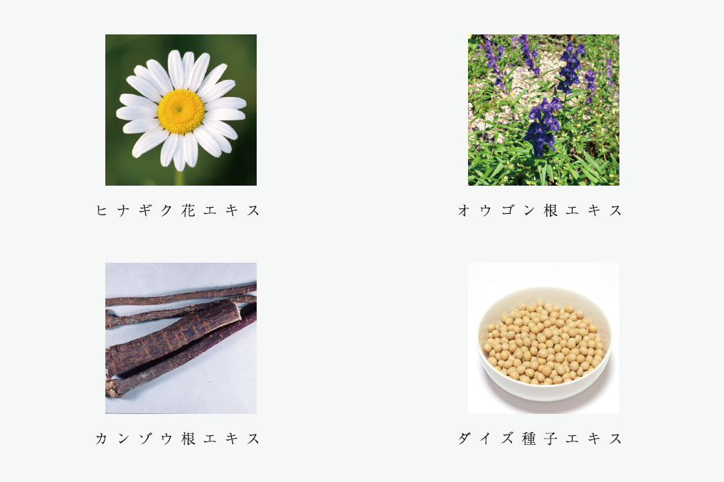 C W-AP7